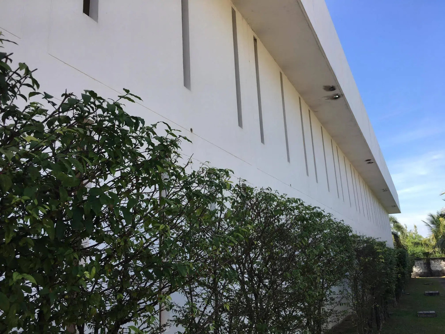 Vana Wellness Resort