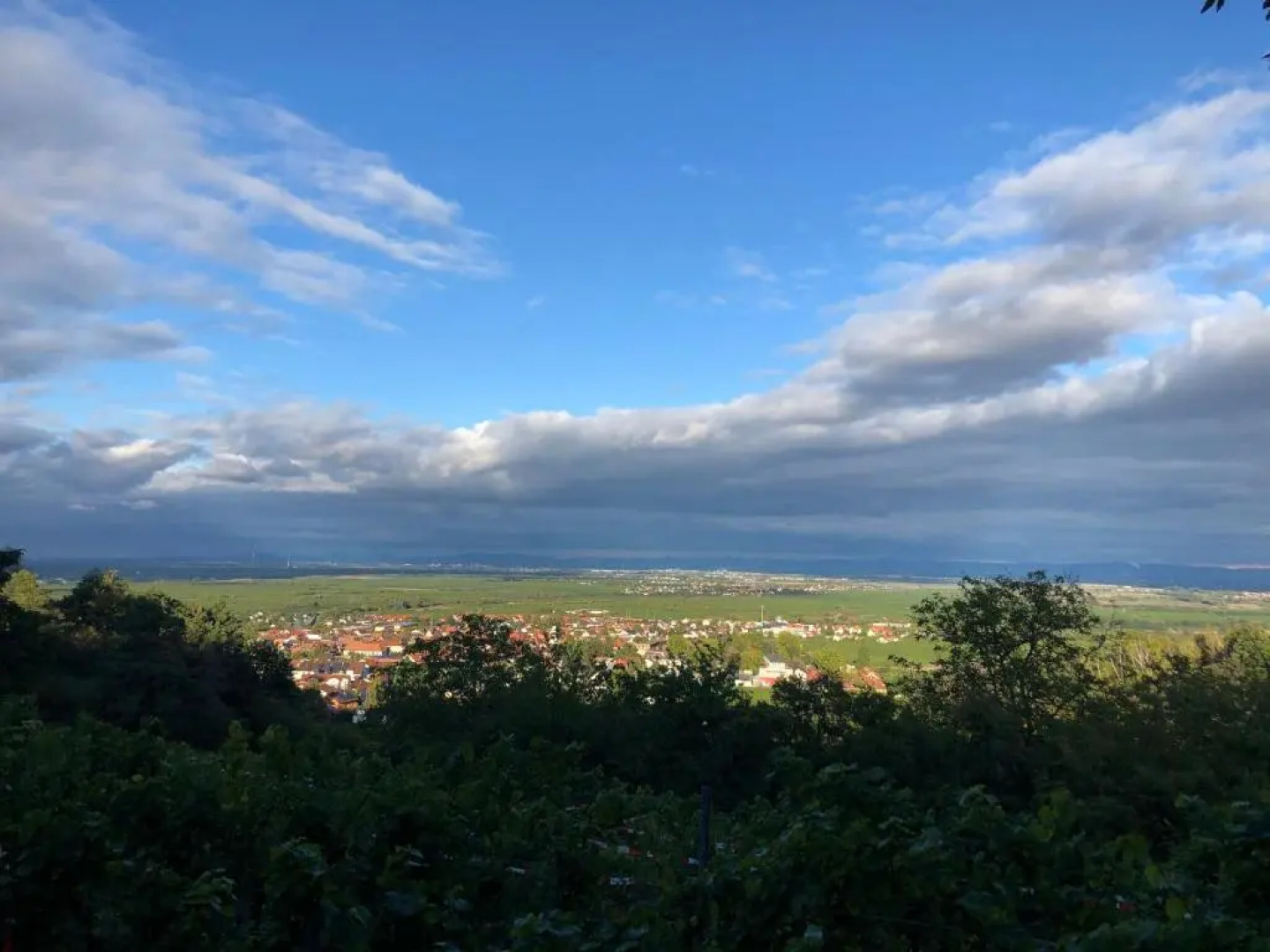 Altstadt-Residenz Manz