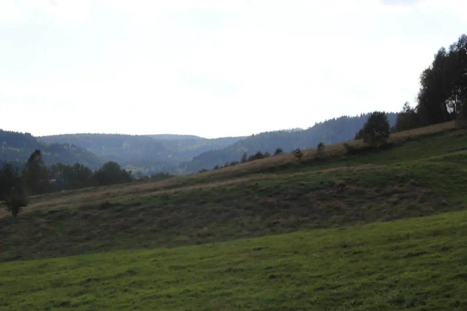 Słoneczna Zagroda - Sunny Ridge Farm