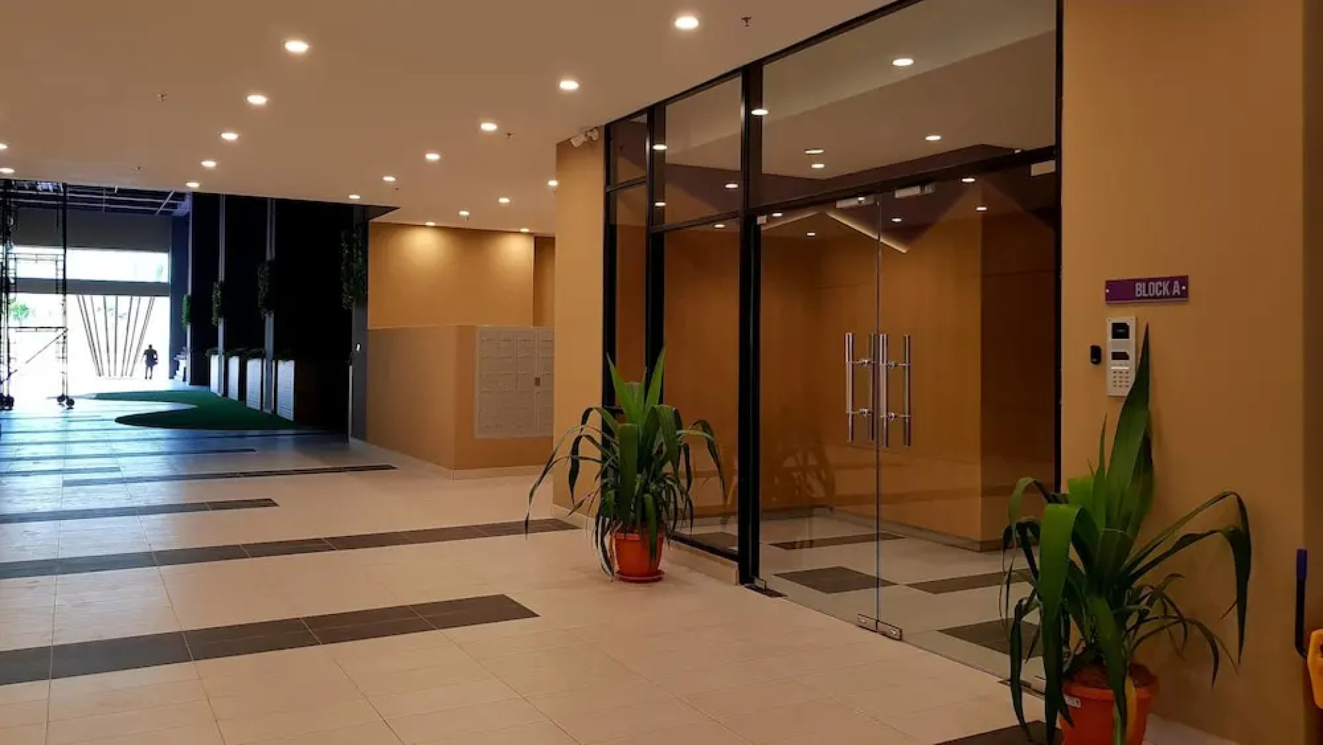 Alyssa Conezion Suite