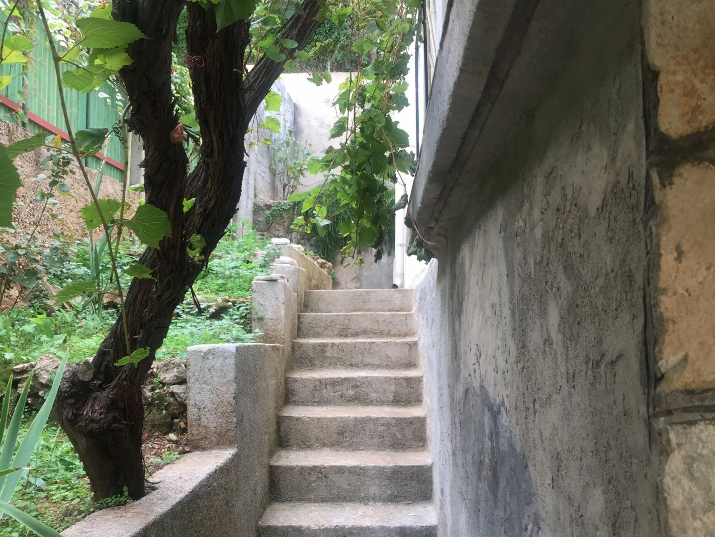 Apartment Sjajna - garden: A1 Jelsa, Island Hvar