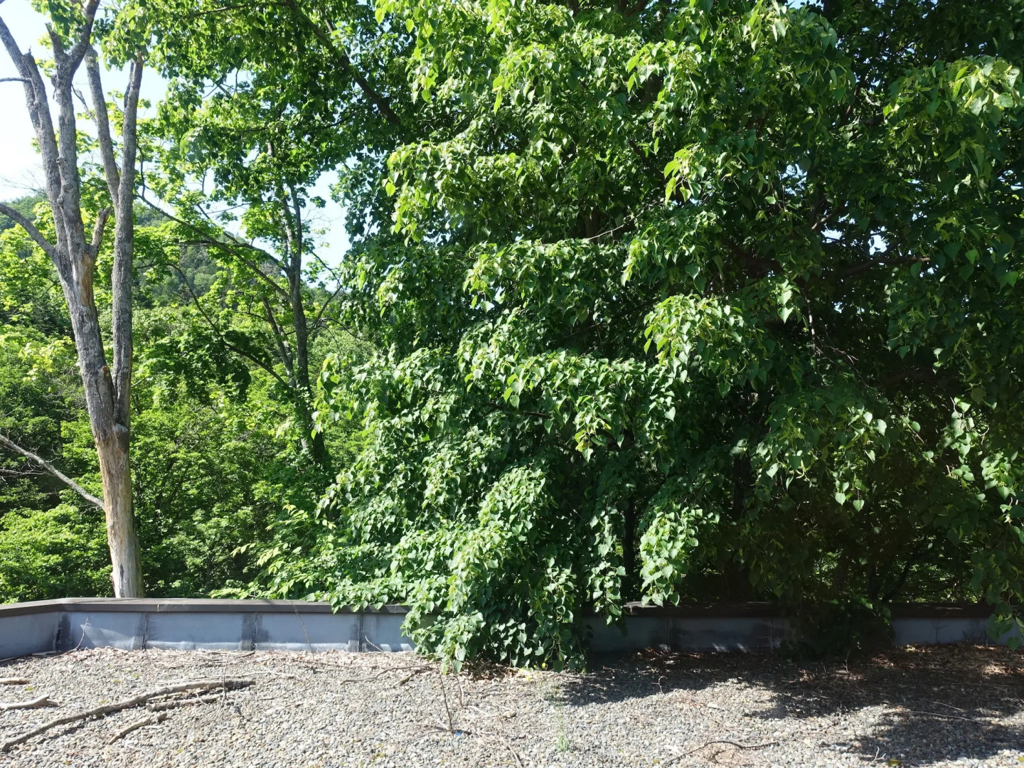 Nukabirakan Kanko Hotel