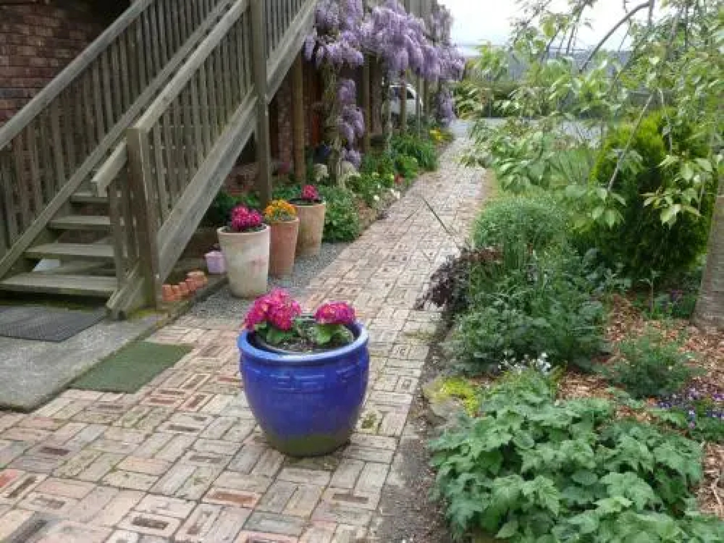 Wisteria Lodge Bed and Breakfast