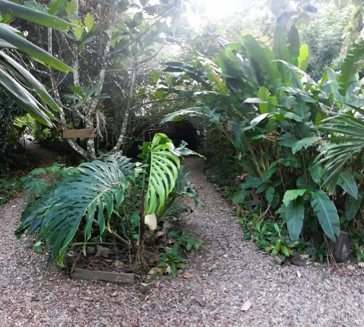Iguana Roost for Explorers, Families or Travelers Welcome to The Tropical Acre