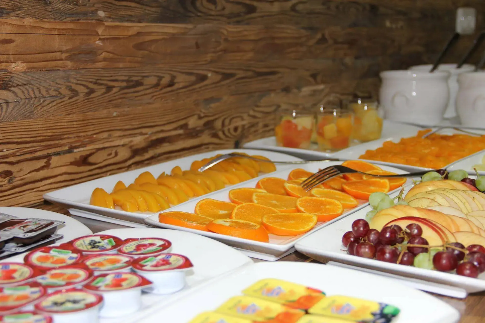 Hotel Alpina Ros Demming