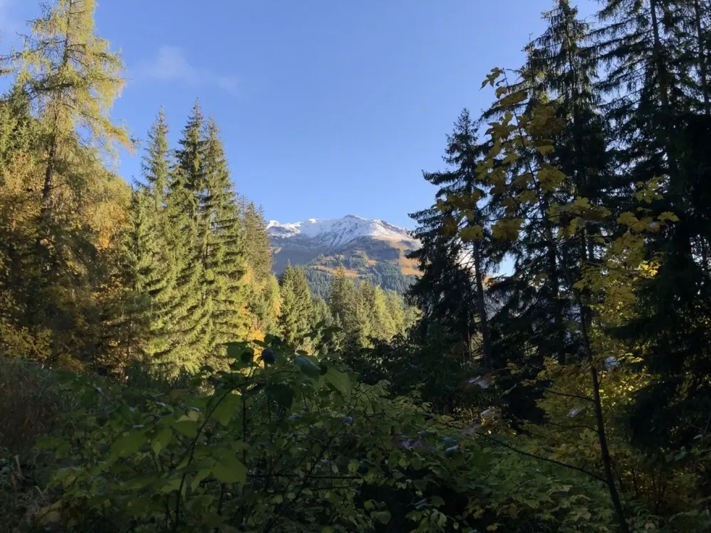 NATURPARKGUT - alpdeluxe Apartments