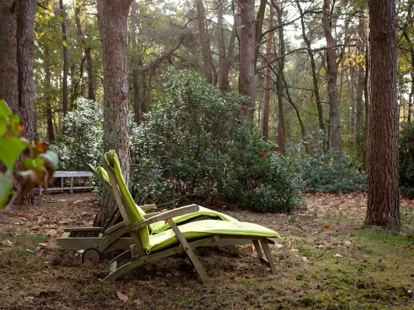 Gierle Garden Bungalow Escape