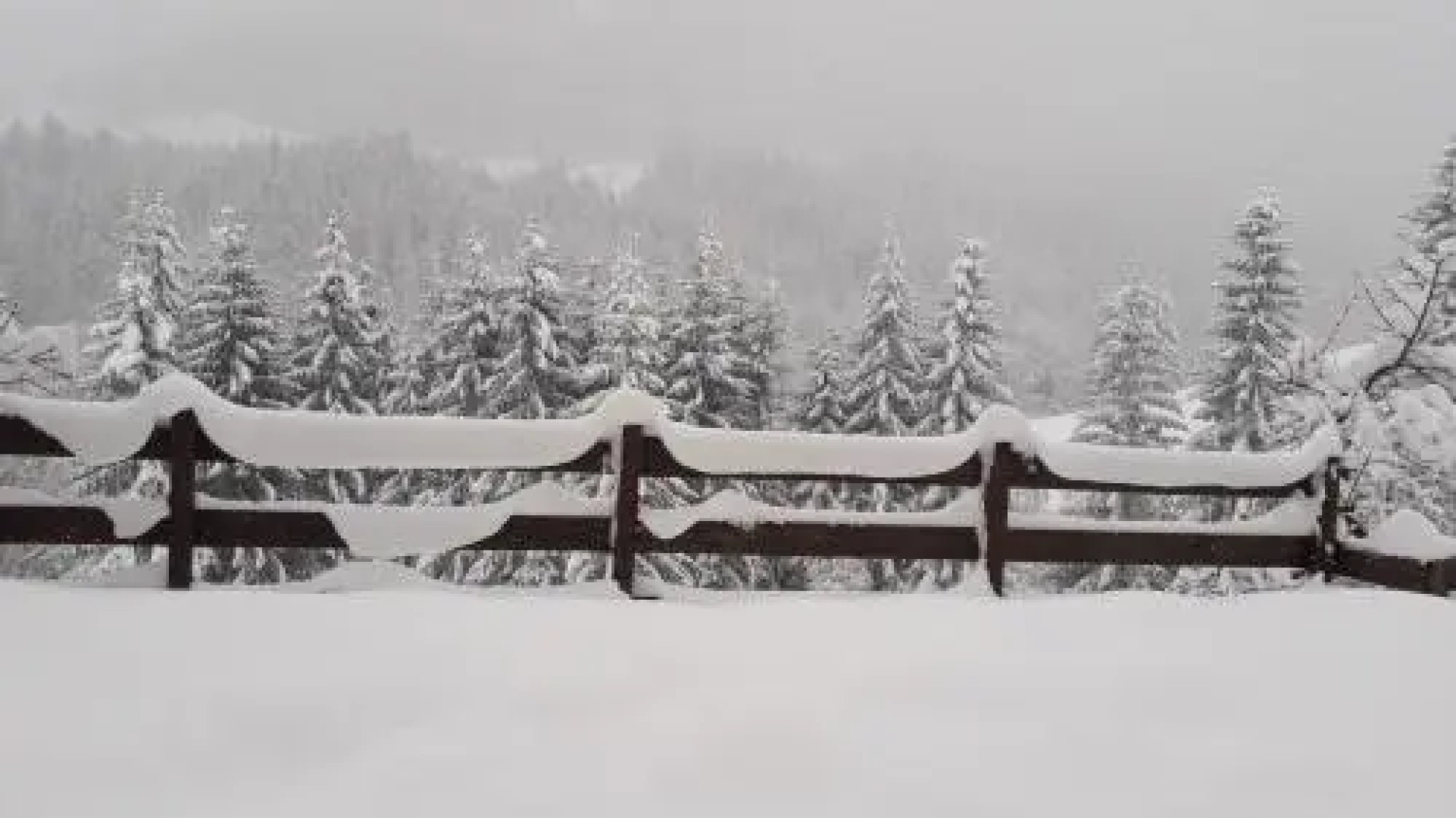 Ferienwohnung "Lesachtal"