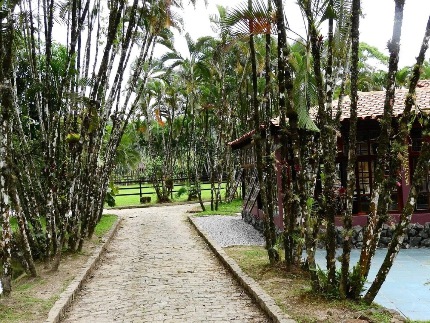 Chácara Pimentão Vermelho