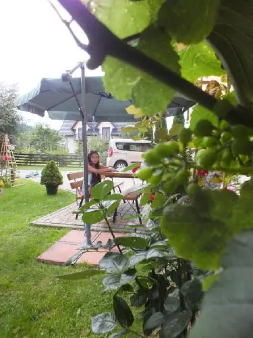 Apartamenty w Jurgowie Świstokówka