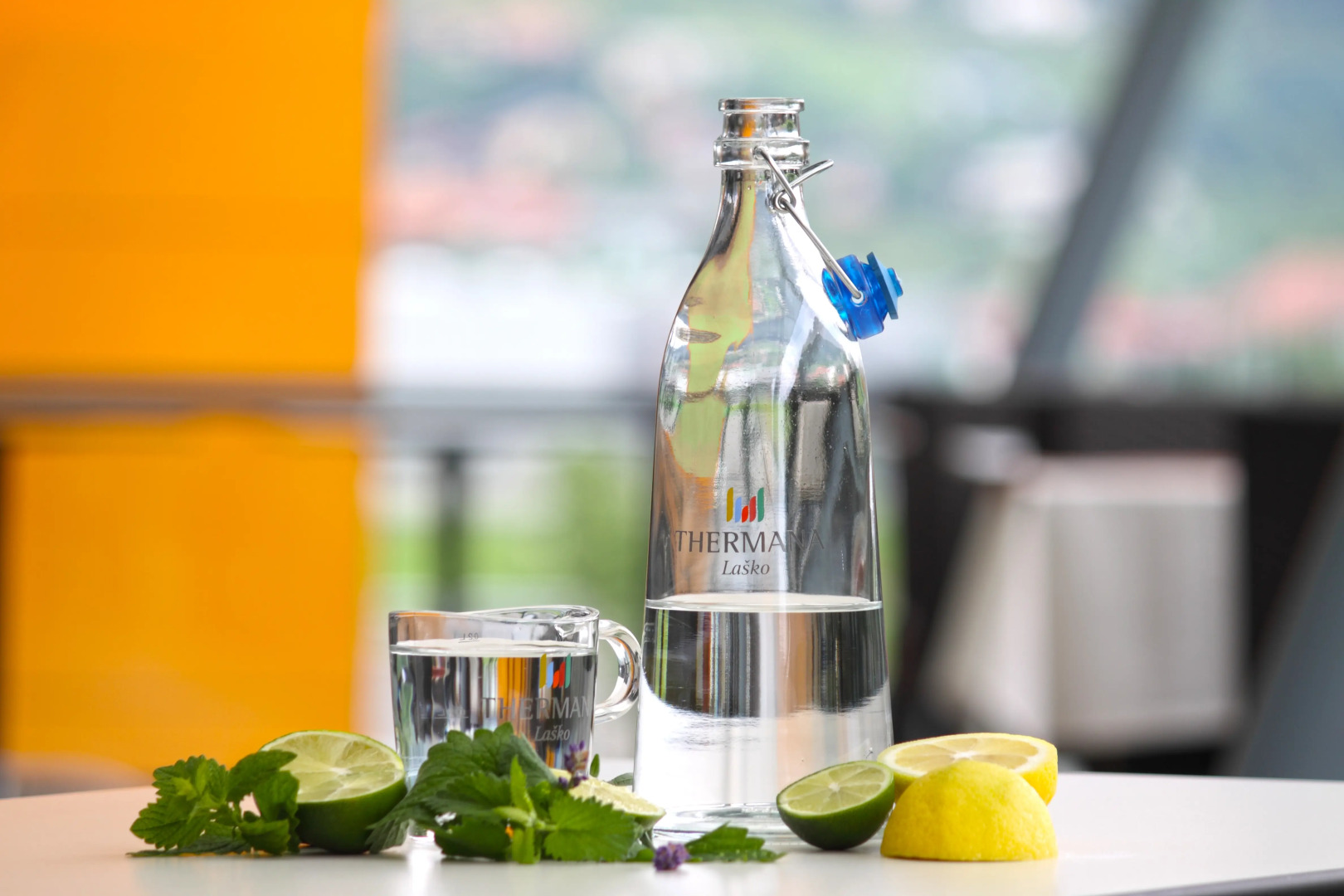 Hotel Zdravilisce Lasko