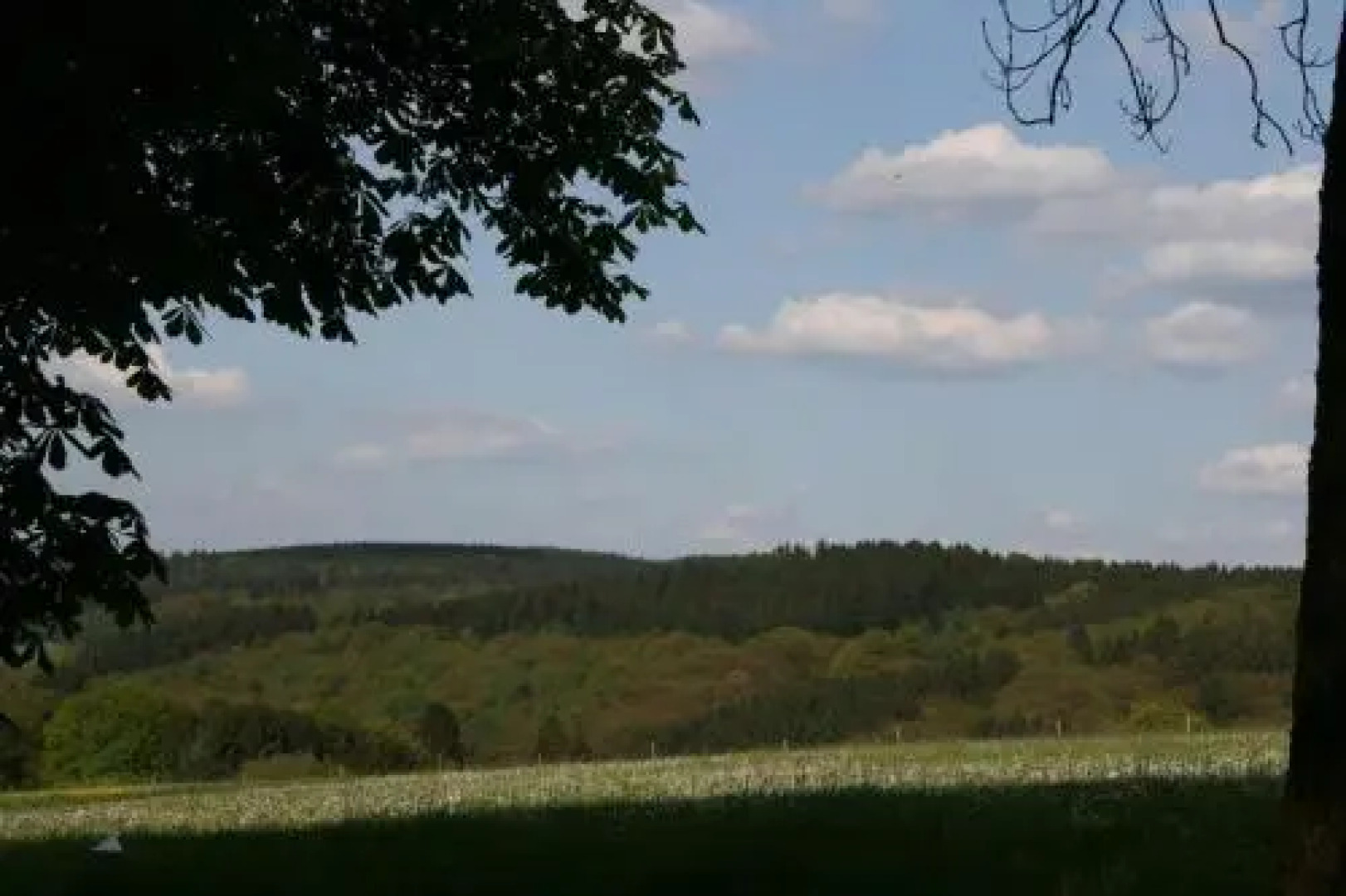 Hotel-Restaurant Haus Berkenbaum
