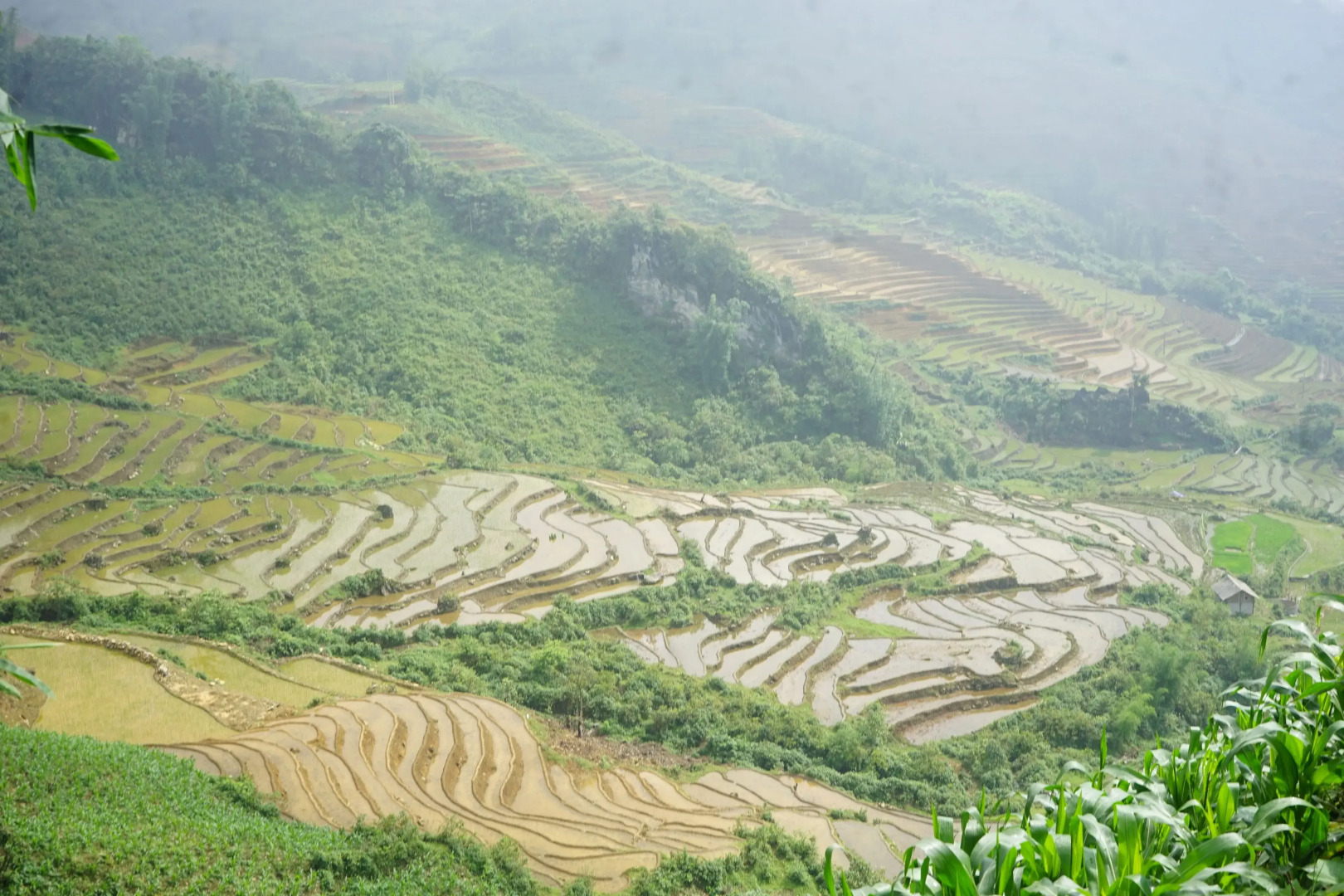 Saigonese Trekking House - Hostel