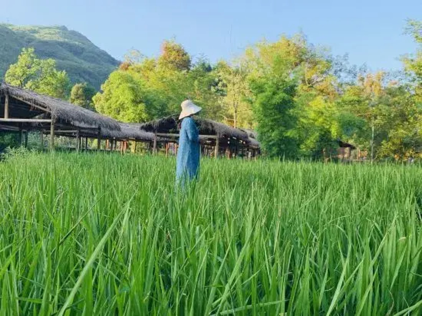 Yunshe Puju Guesthouse