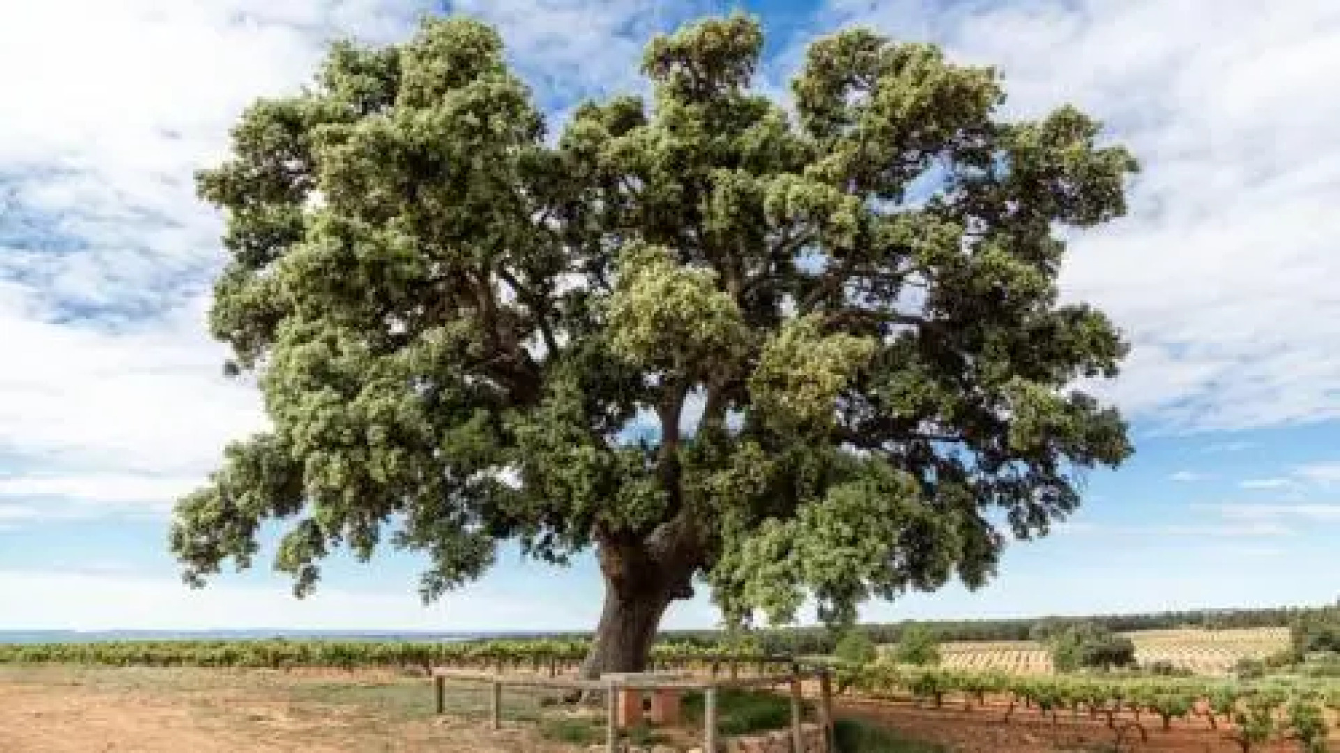 Hotel Rural Entreviñas