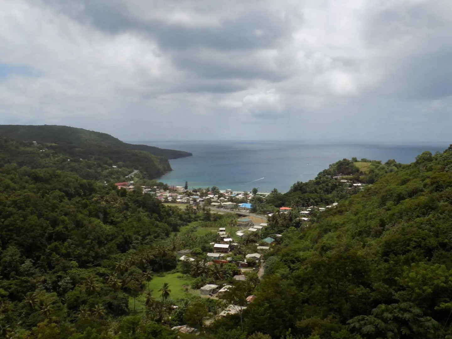 Tropical Paradise View
