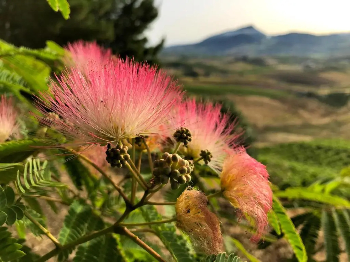 Agriturismo Antichi Granai