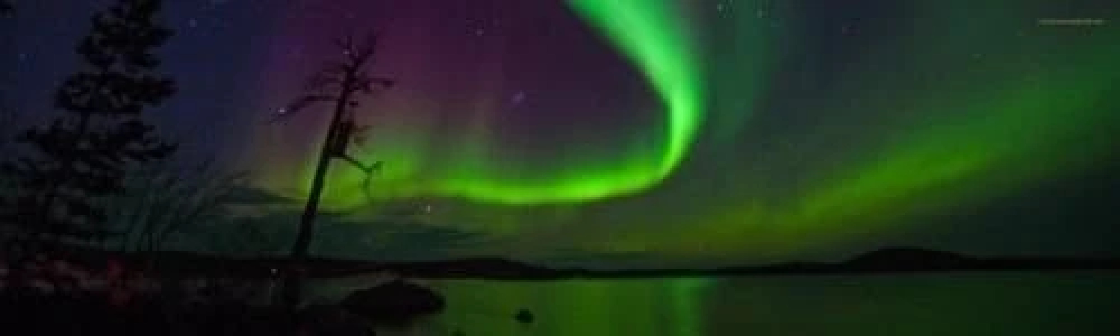 Guest House Inari Ky