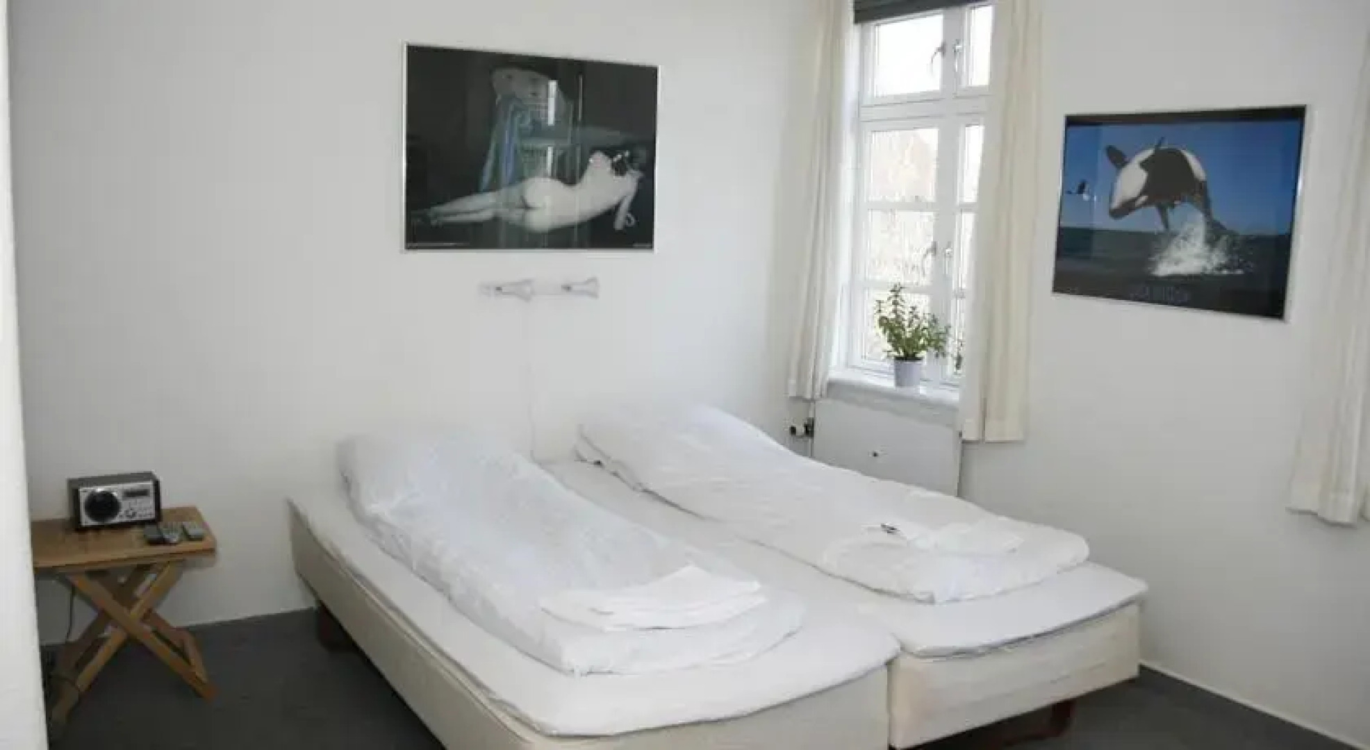 Drop In Samsø Bed & Breakfast