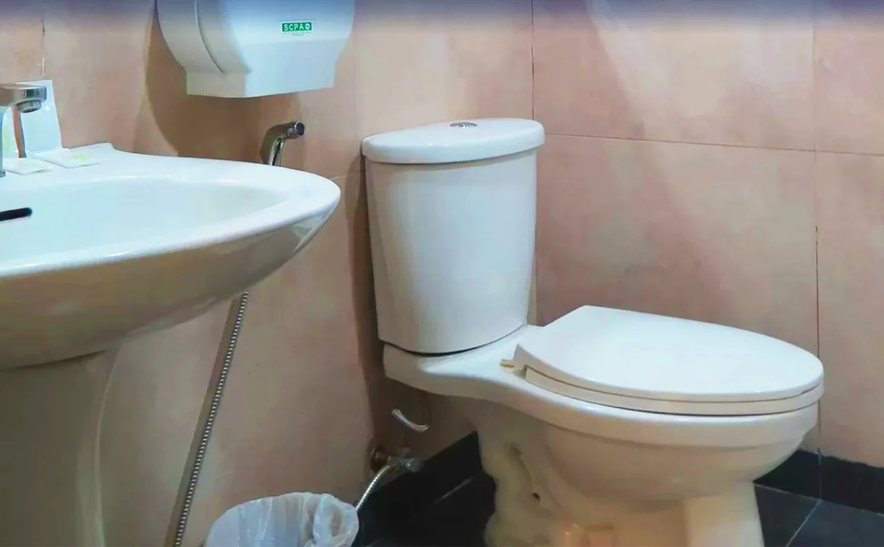 Green Windows Dormitel