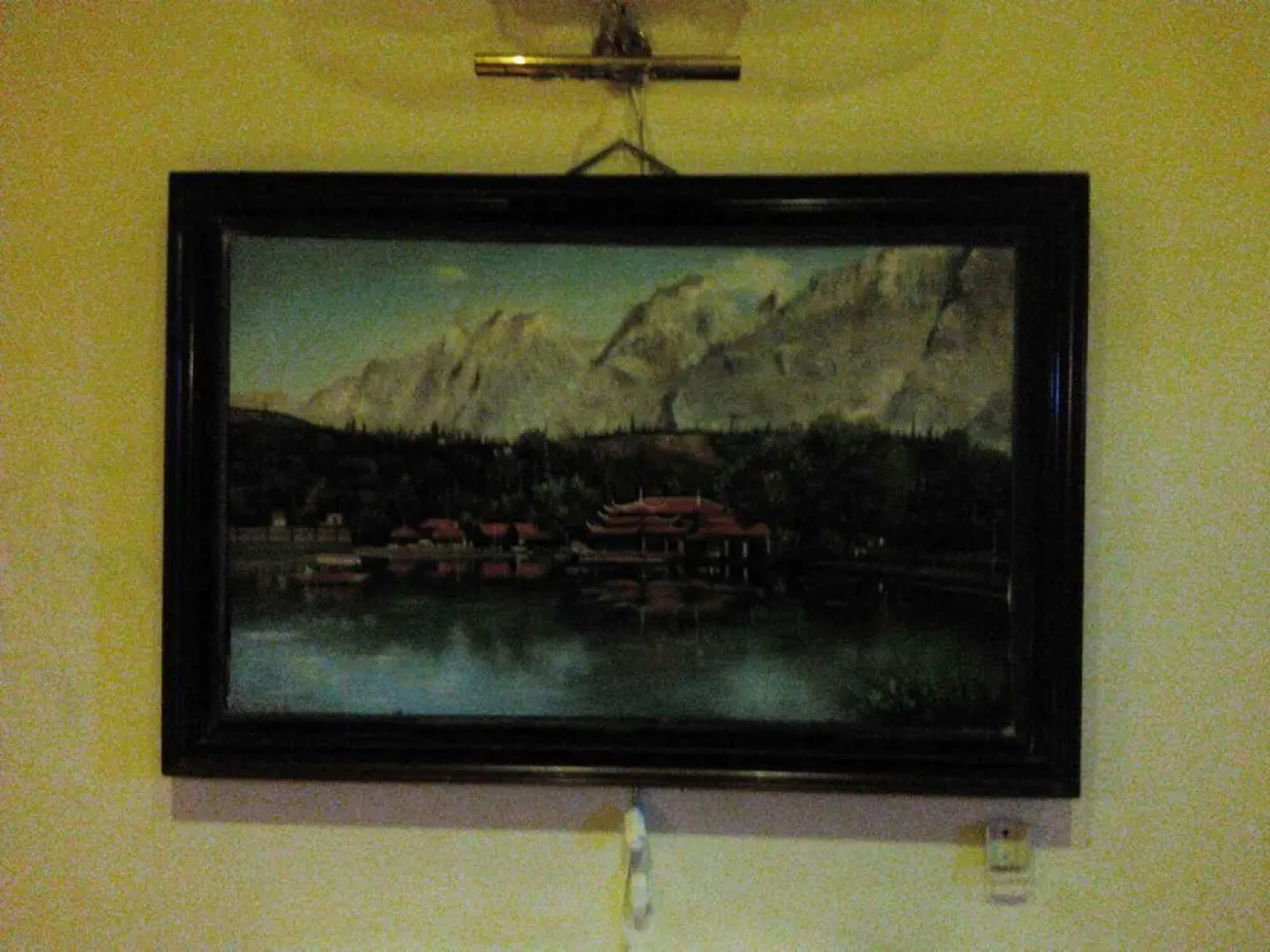 Chinar Family Resort