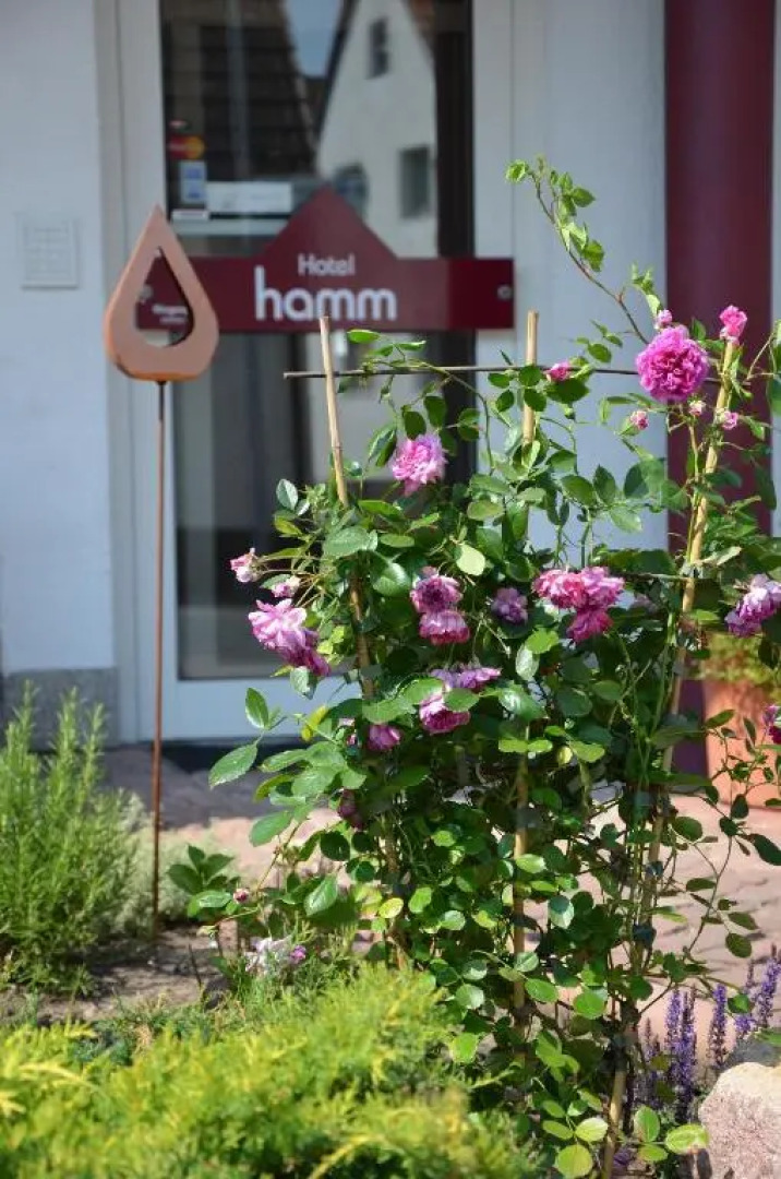 Hotel Hamm
