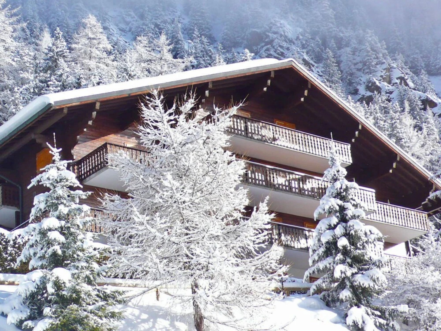 Colline 3 Orsi res in Orsi res