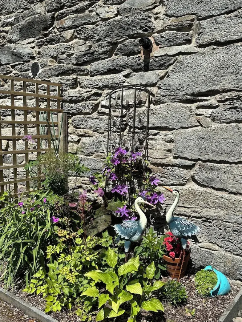 Tyn Y Fron Country House