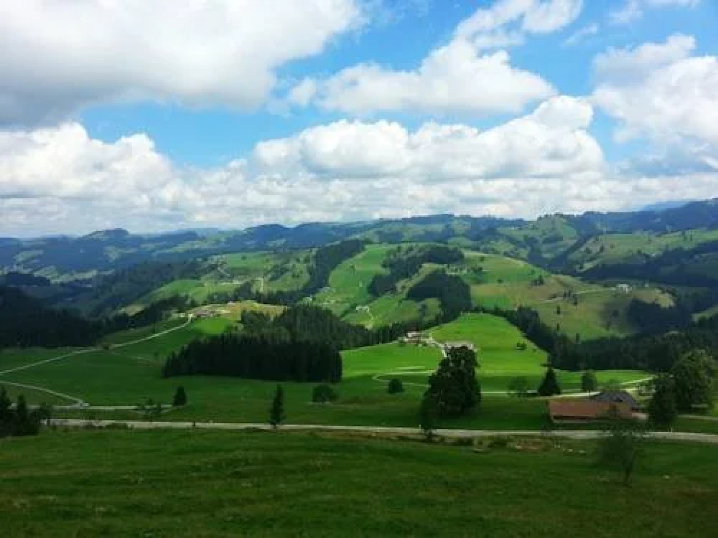 Schlaraffenland Handels