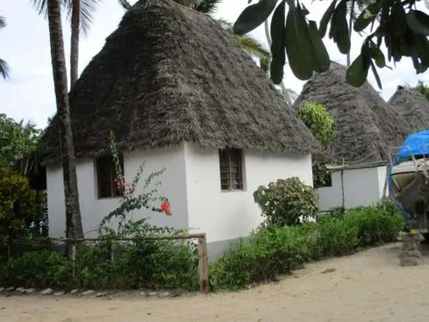 Drifters Beach Banda