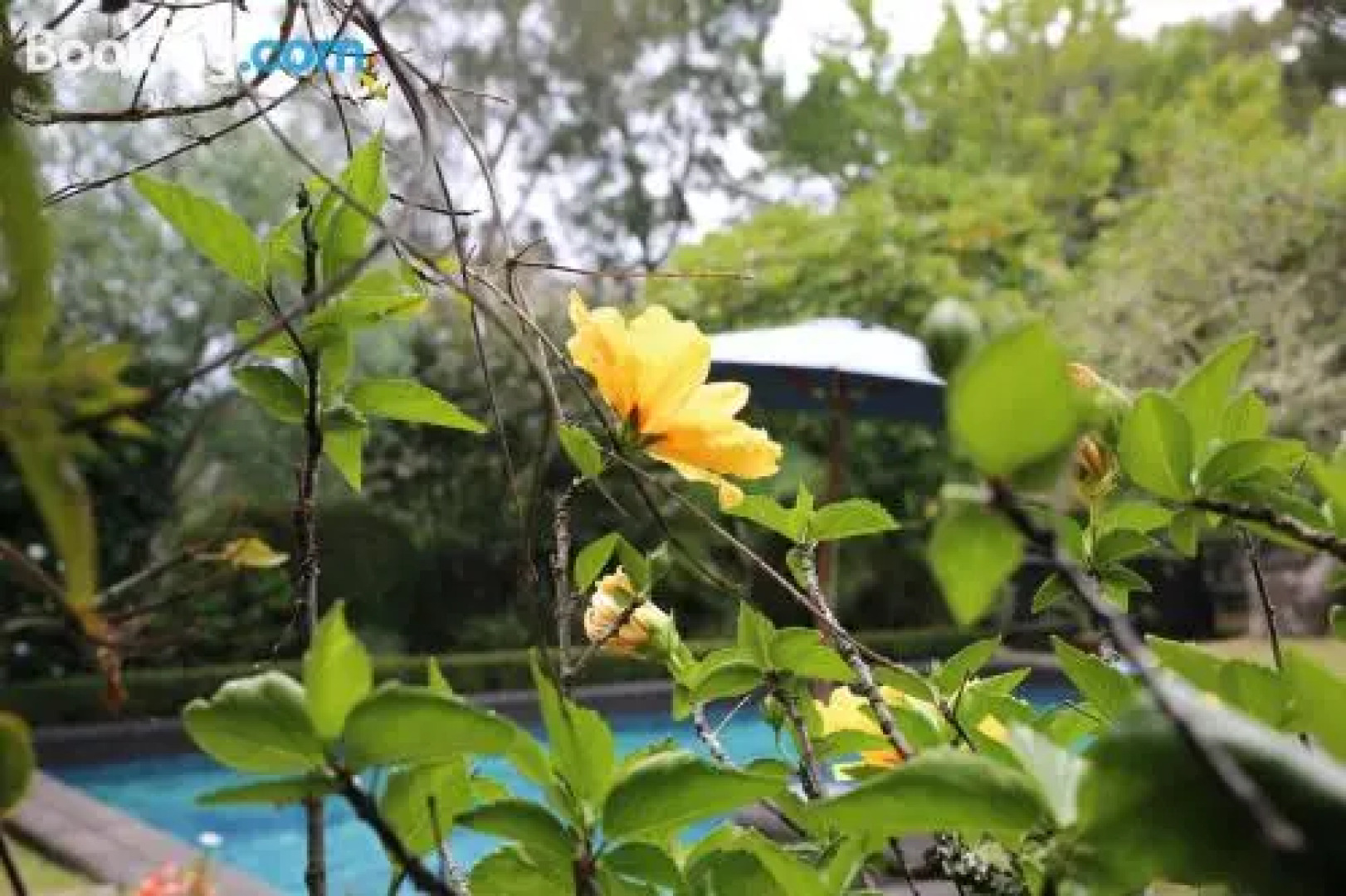 Thorold Country House