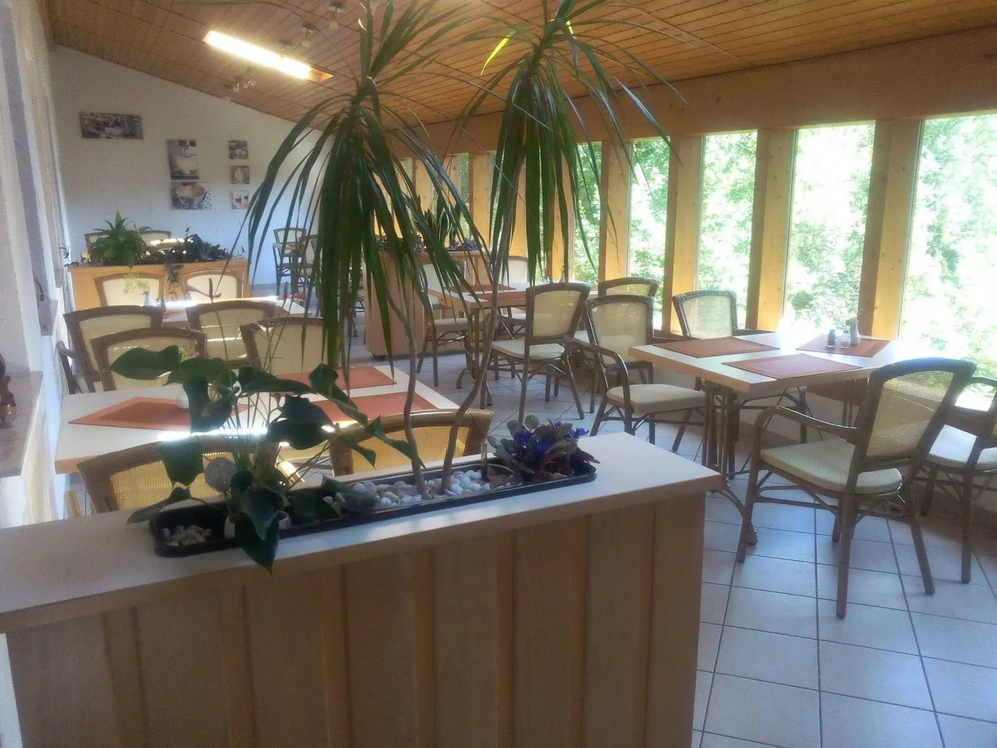 Harz Resort Waldesruh