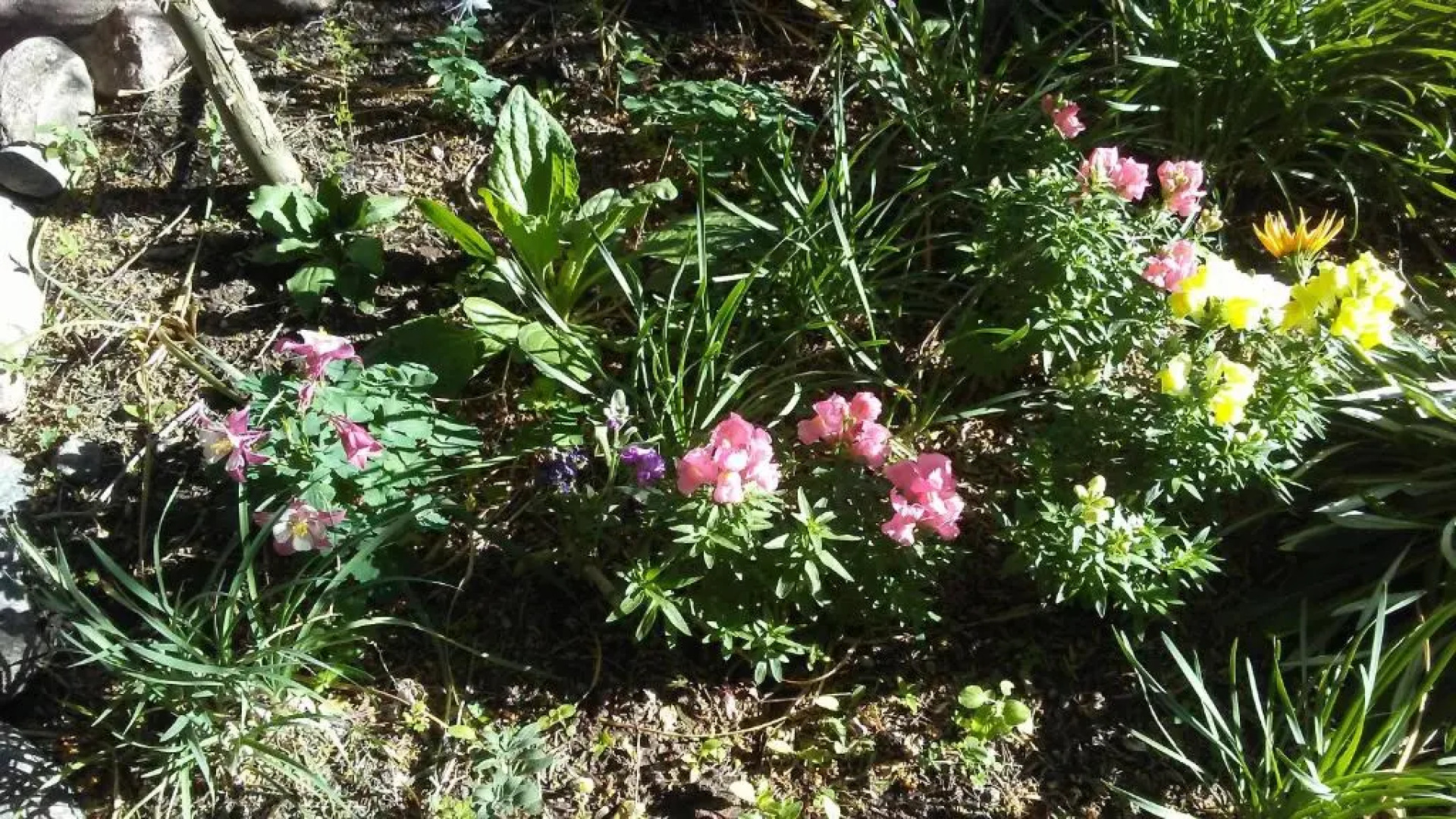 Wilka Pacha - Casas Serranas