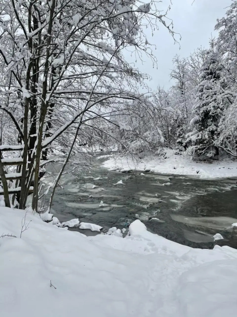 Апартамены VIP 5 каминов