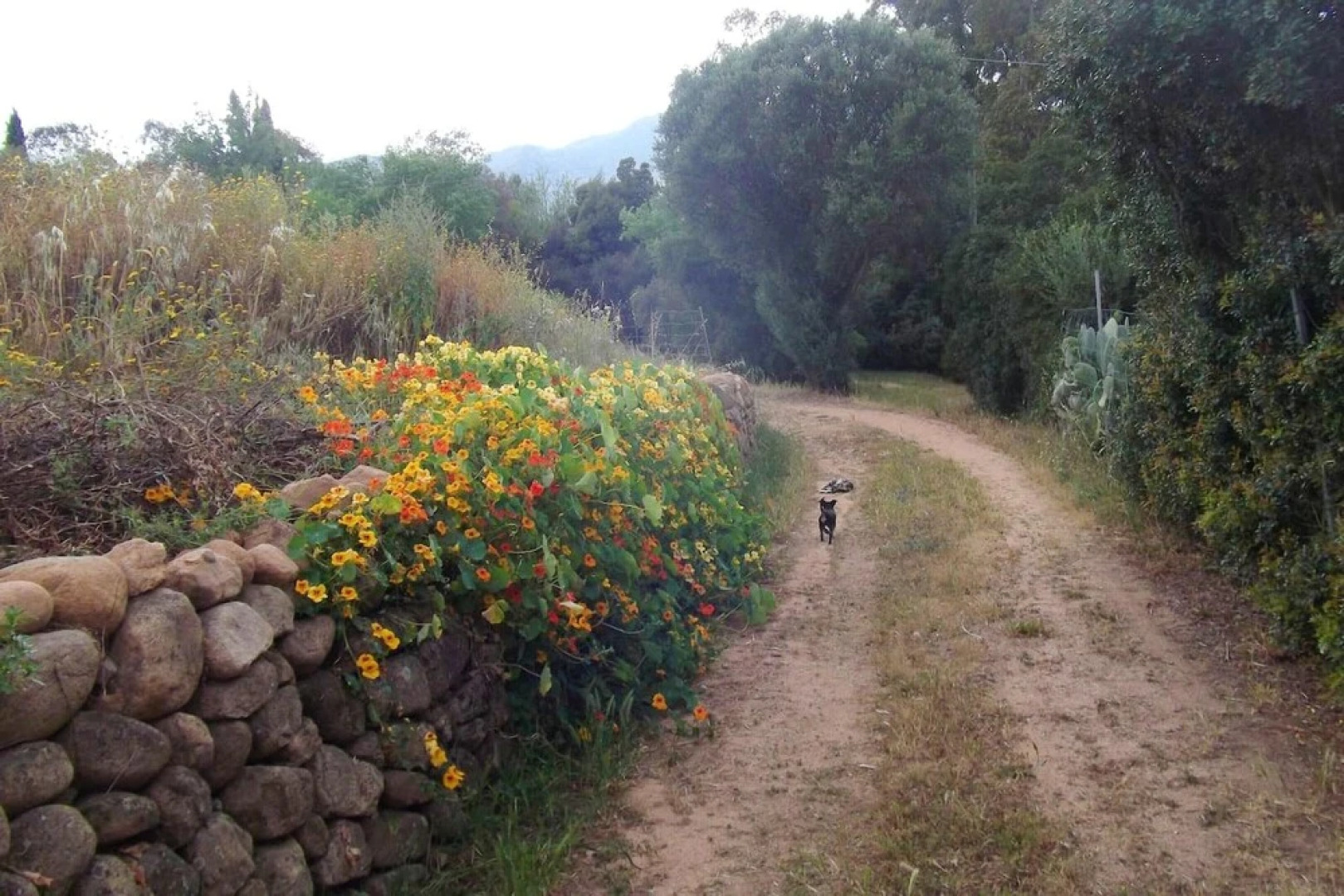 House With 3 Bedrooms in San Vito, With Enclosed Garden Near the Beach