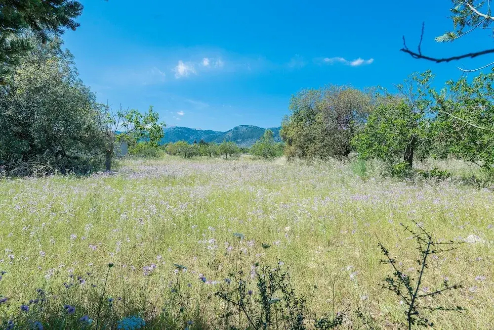 Villa in Campanet With Private Pool & Tennis