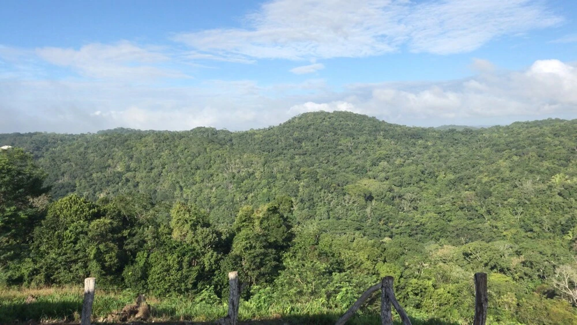 Mango Walk Inn