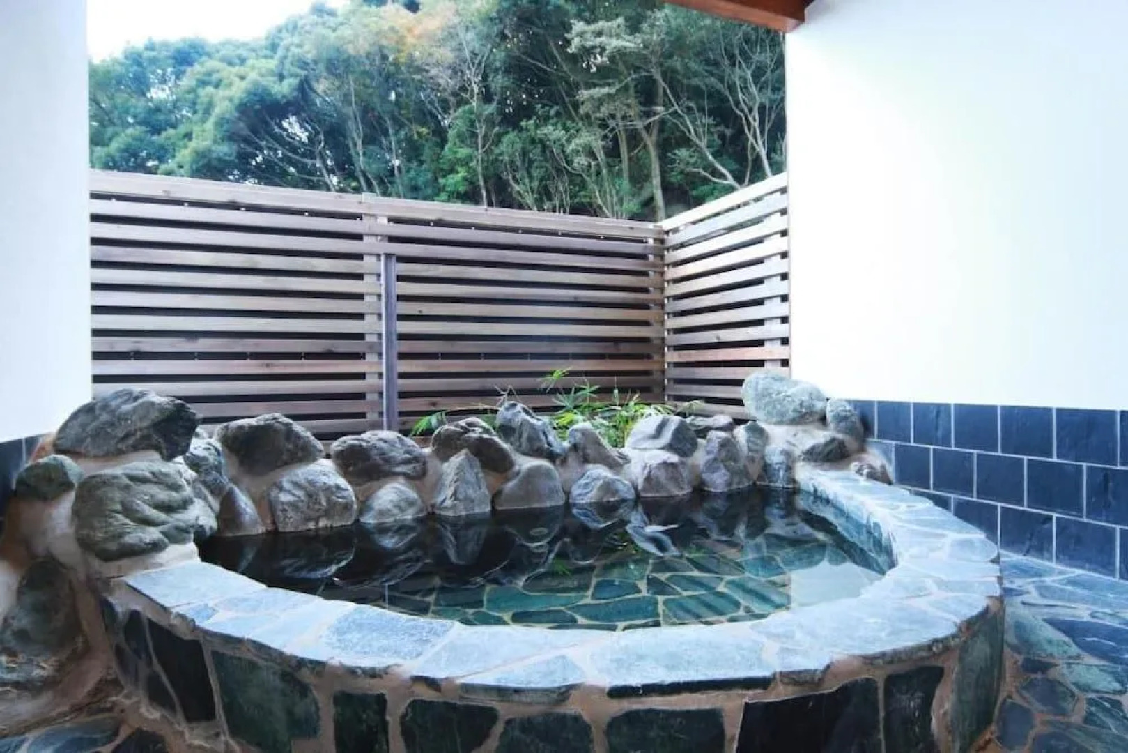 Sunny House All The Way