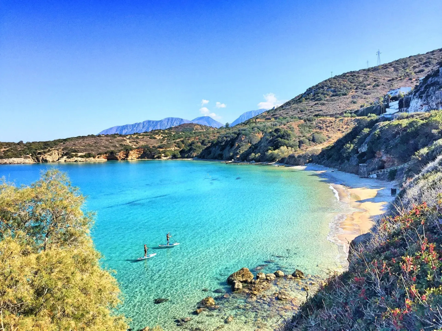 Olive Green Villa Heated Pool