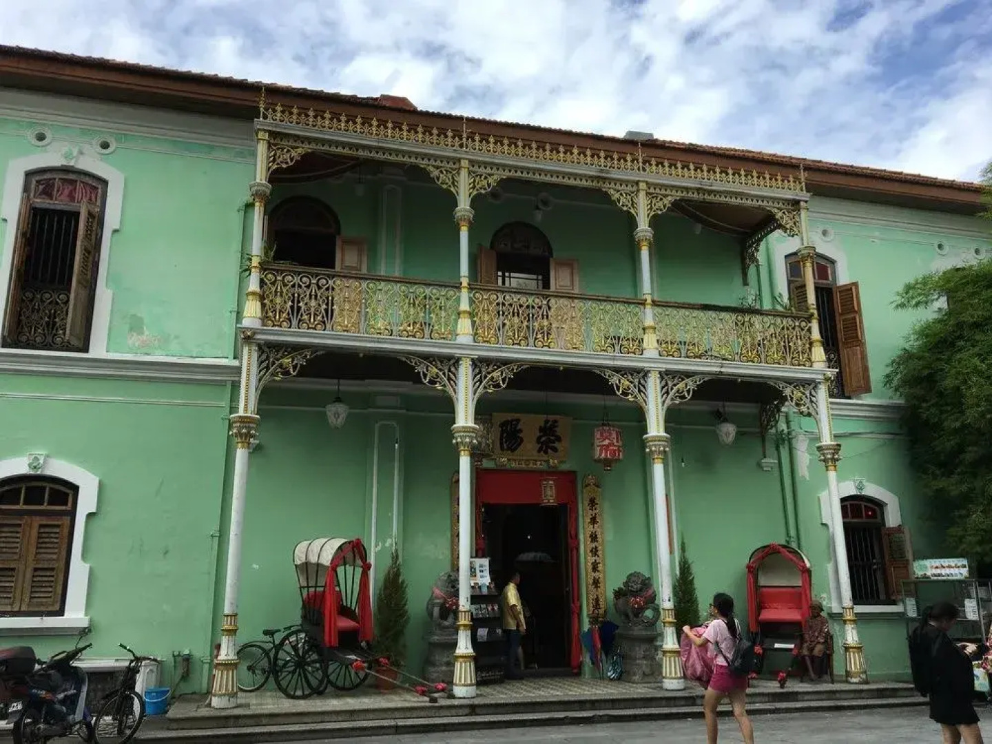 Sea Lion by the Beach