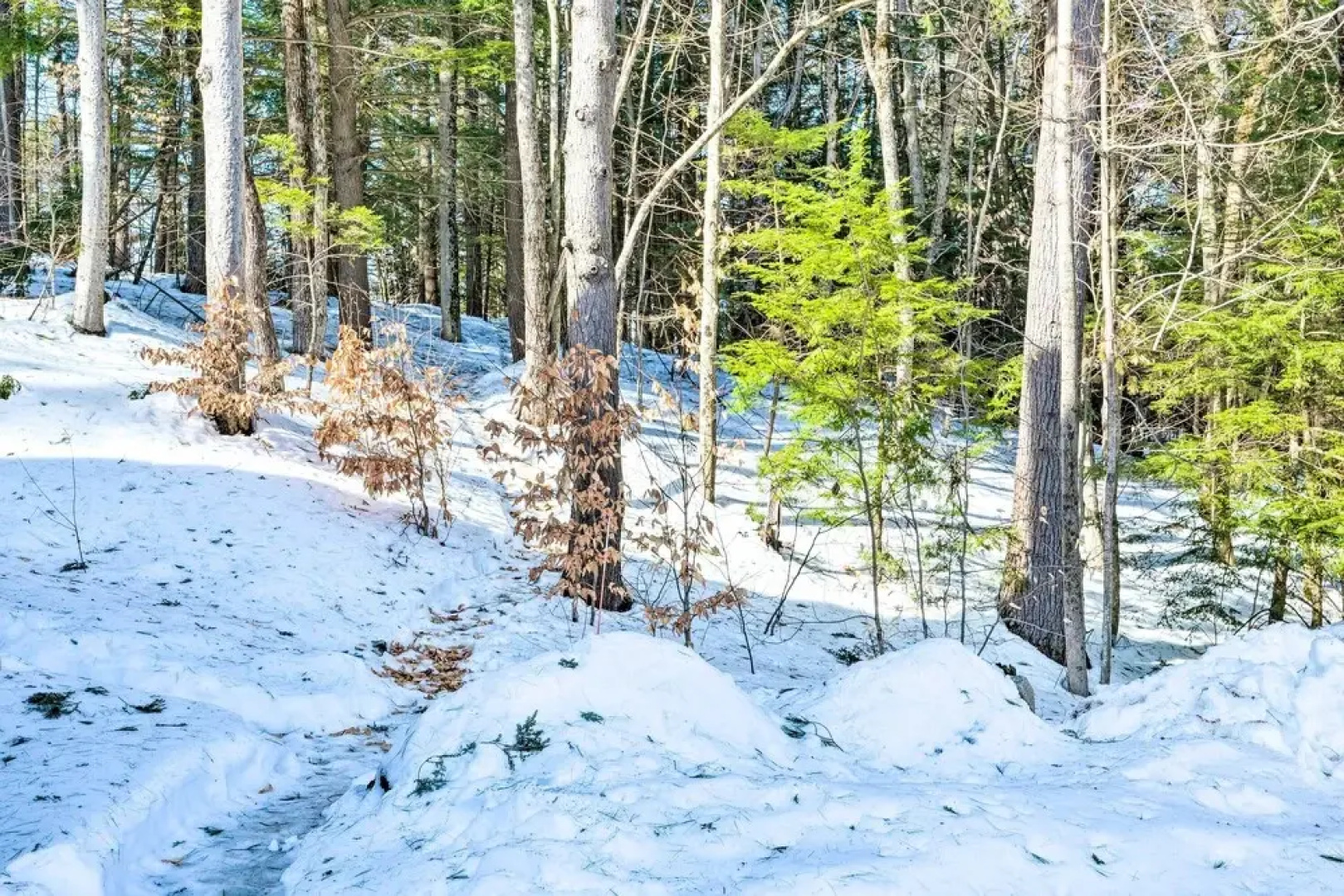 Bethel Townhome: 8 Mi to Sunday River Resort!
