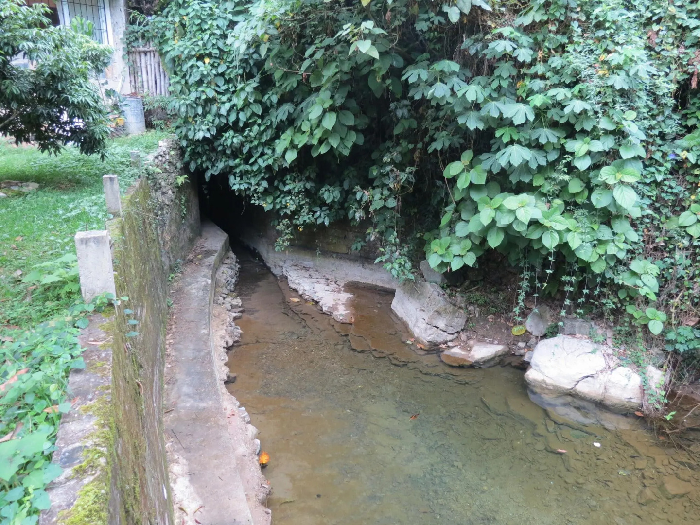 Casa Verde Xilitla by Rotamundos