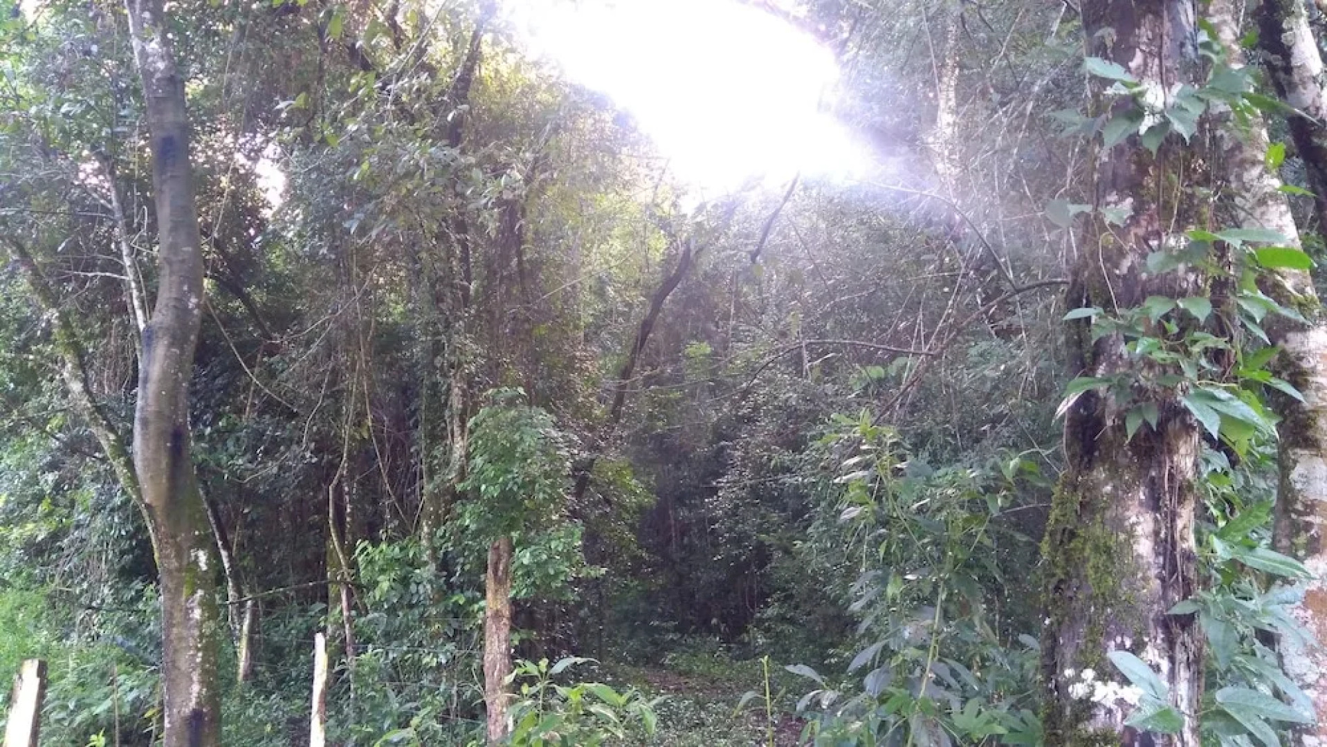 Pousada Estação das Flores