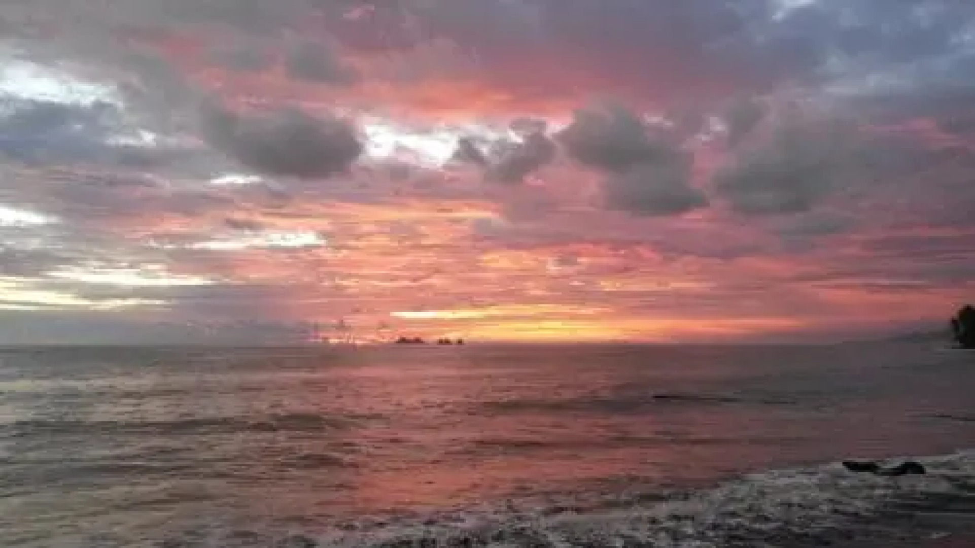 Mar y Selva Ecolodge