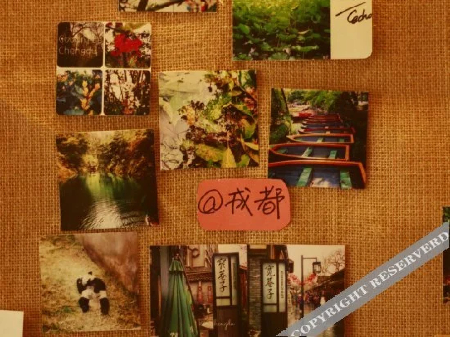 Chengdu Don Quixote Youth Inn