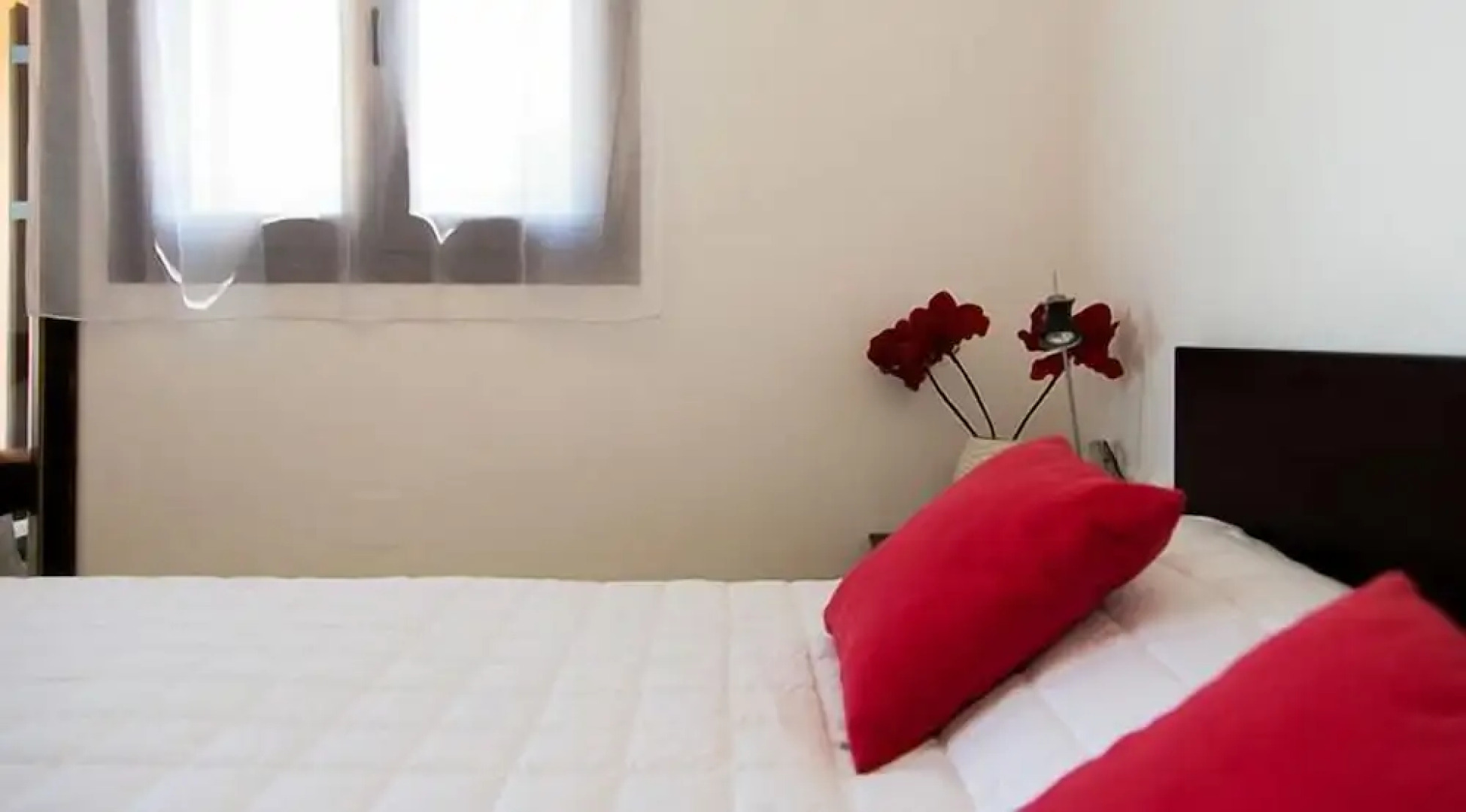 Loquat - Morfi Village