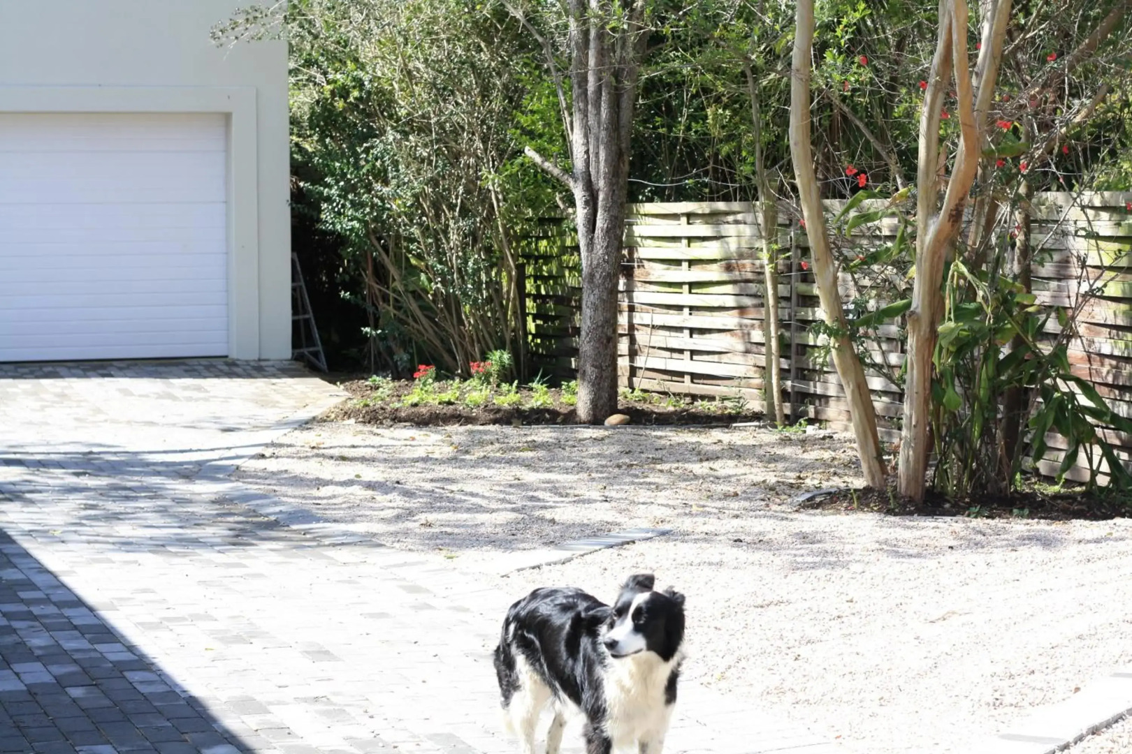 Sarah's Place- Manor House