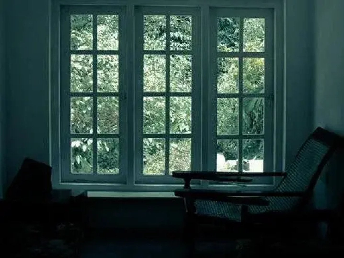 Surrey Bird Sanctuary & Holiday Resort