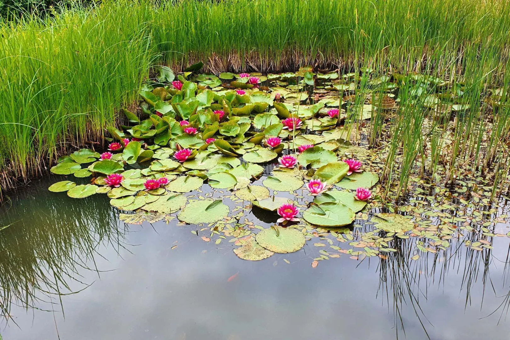 Sport Hotel Kenzingen