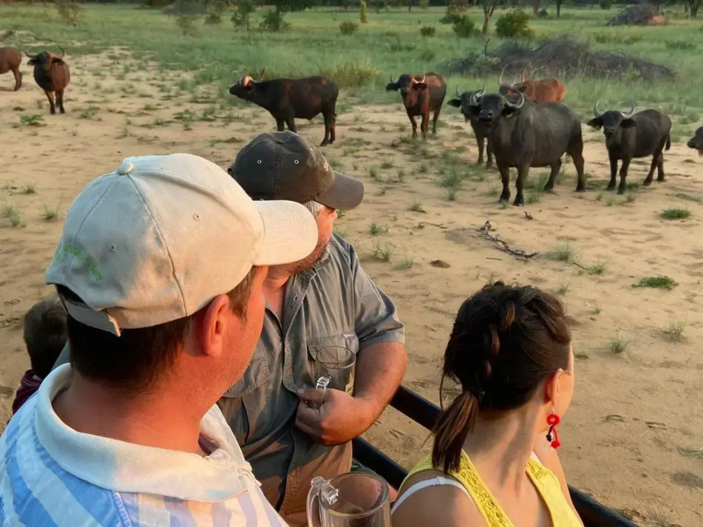 Limpopo Bushveld Retreat